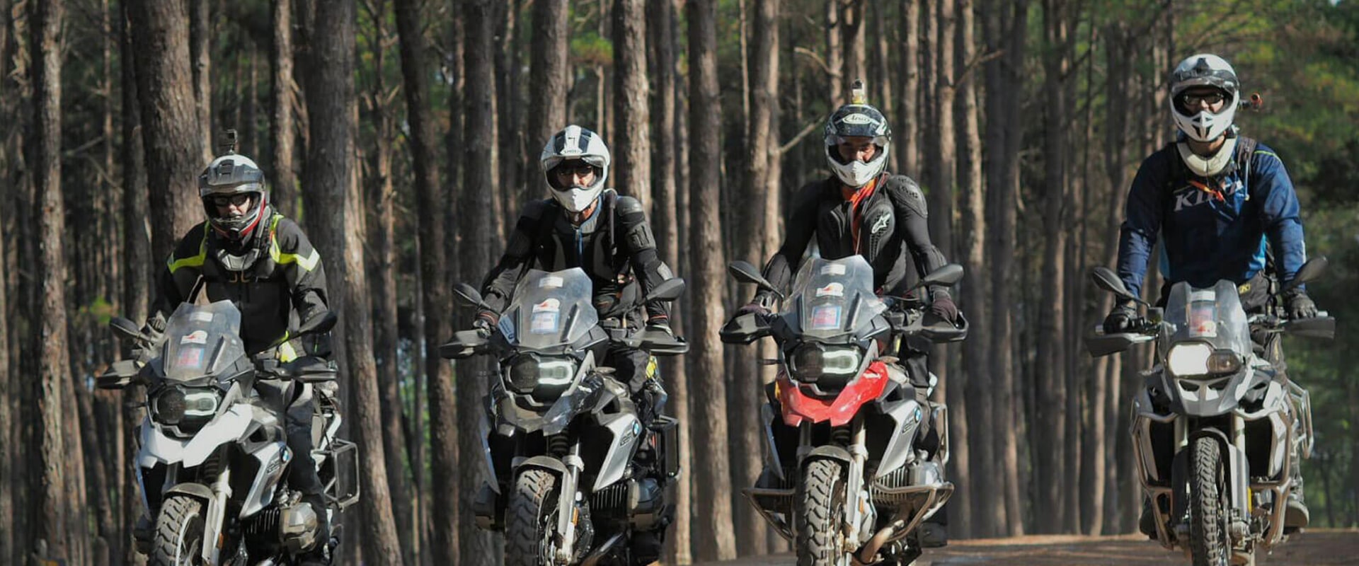 Sport Bikes: Everything You Need to Know